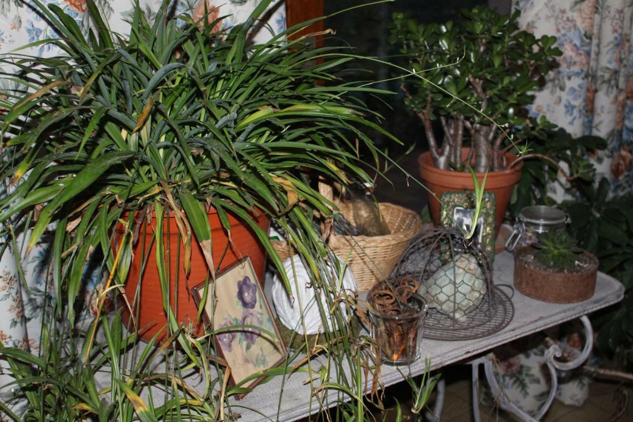 Dans Le Jardin De Marie Bed & Breakfast Bouxwiller  Ngoại thất bức ảnh